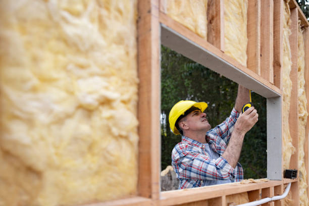 Best Insulation for Existing Homes  in Dixon, IL